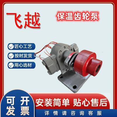 电加热齿轮泵电加热保温泵流量2立方口径6分沥青齿轮泵油泵泵头