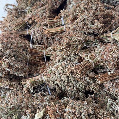 云南野生密蒙花染饭花糯米饭染色