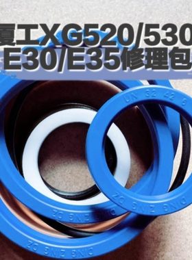 厦门厦工叉车XG520/530/E30E35升降/倾斜/转向油缸进口材质油封