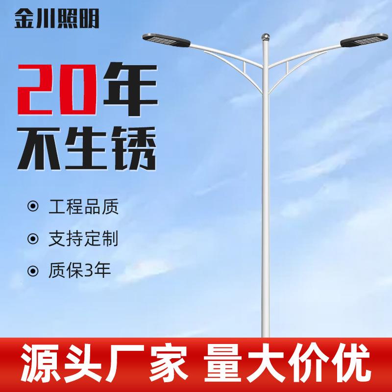 双臂路灯热镀锌米8米10米12米路灯杆照明高杆灯新农村市电路灯