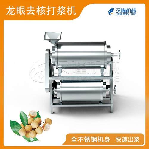 厂家直销大型去核打浆分离设备工业商用不锈钢双道龙眼去核打浆机