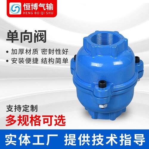 粉煤灰气力向阀门DN25/40逆止阀电厂管道仓泵补气输灰止回阀