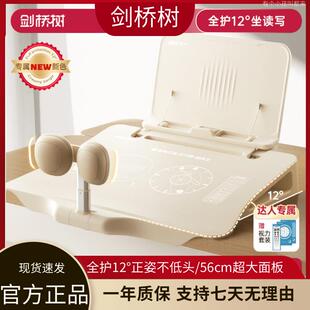 剑桥树坐姿矫正器升级正姿学习台强增稳十二度坐读写大肘托大面板