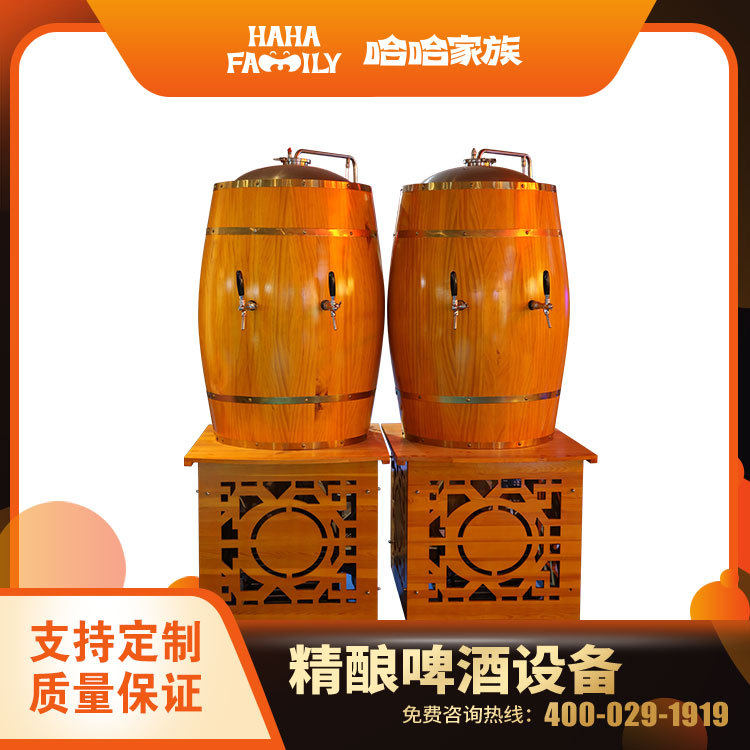 精酿啤酒加工机械 大型精酿啤酒厂酿造设备 精酿啤酒配方