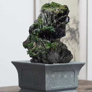 福刻放窗的建盆盆花青吴定石槽复古石头盆景石山石菖蒲石花盆水培