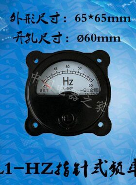 Z-HH1-V2038表45赫兹指针 8201频率1T55V8 老款Z式仪器仪表表1L头