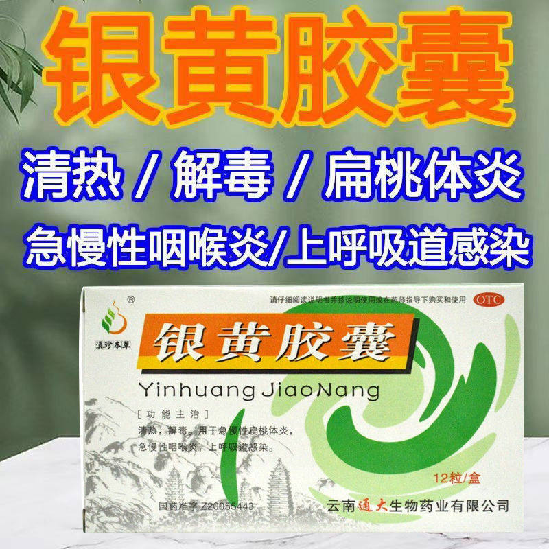 滇珍本草 银黄胶囊 24粒清热解毒急慢性扁桃体炎急慢性咽喉炎肿痛