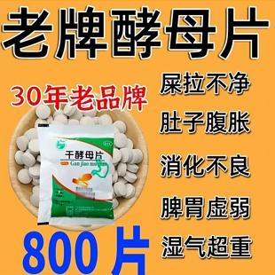 老牌干酵母片人用正品营养不良消化不良药食欲不振B族维生素缺乏