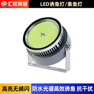 LED渔船诱鱼聚鱼集鱼灯户外防水220V青光海钓引鱼鱿鱼捕鱼探照灯