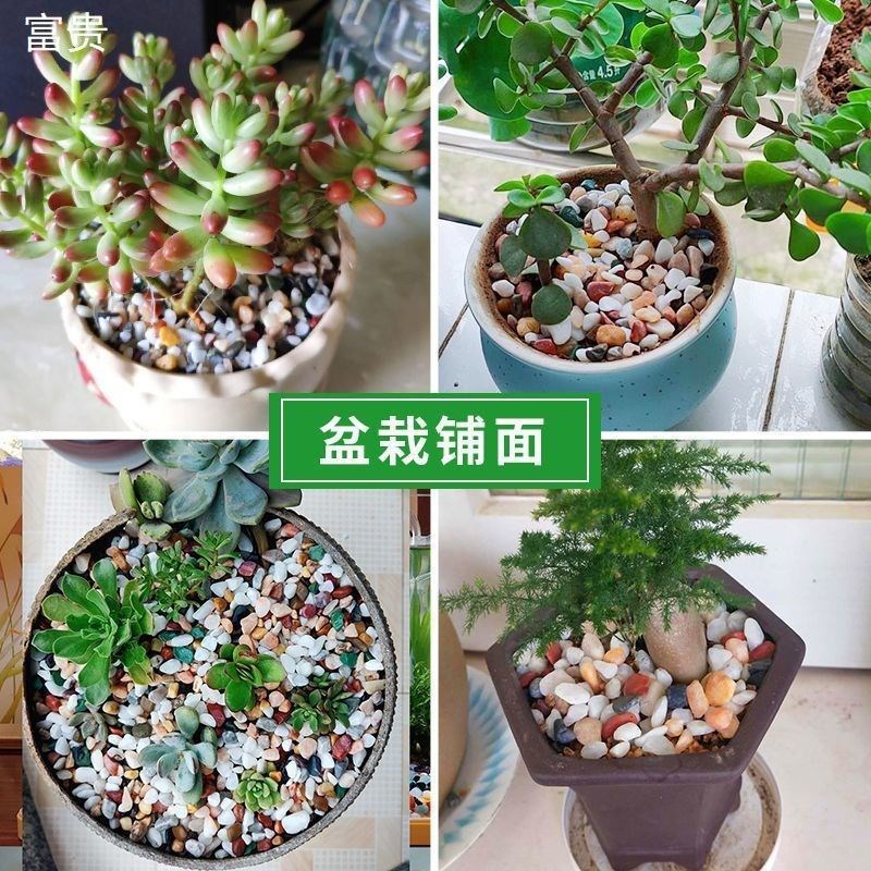 天然雨花石原石鱼缸底砂火山石造景小石头装饰彩色石子五花石龟缸