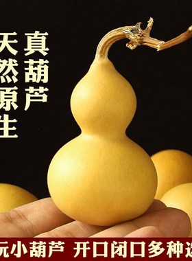 小天然葫芦摆件开口空心闭口干真木葫芦胖墩带龙头手把件大号