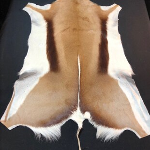 南非进口跳羚羊皮地毯皮毛坐垫兽皮沙发飘窗样板房装饰摆件