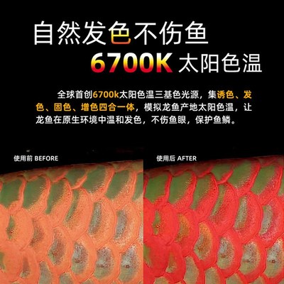 尼奥SOLAR日光发色灯雷龙鱼专用灯潜水灯LED鱼缸灯金鱼增艳增色
