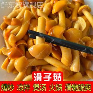 包邮 滑子菇新鲜口感滑菇滑子蘑珍珠菇小黄蘑含水保鲜装 涮炒拌均可