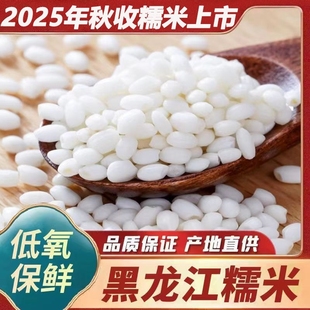 2025年秋收糯米黑龙江东北糯米新鲜低氧保鲜品质保证5斤包粽子