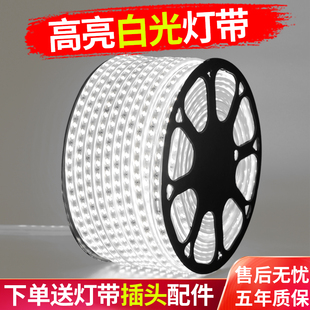 饰220v室W外照明白光灯带 led灯带家用客厅吊顶户外防水工程亮化装