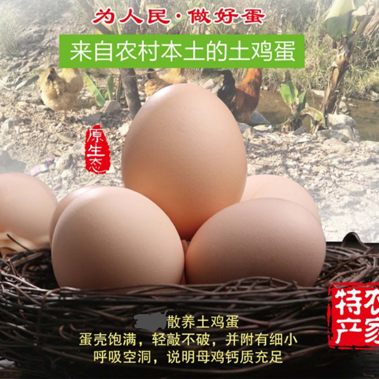 农家新鲜鸡蛋多规格谷物鲜鸡蛋官方旗舰店散养新鲜大个鸡蛋实惠