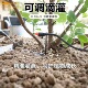 可调滴灌滴头滴箭浇花套餐果园阳台花盆多肉绿植自动浇灌系统配件
