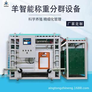 牛分群設(shè)備智能稱重羊稱重分群設(shè)備數(shù)據(jù)上傳耳標(biāo)識別高效管理