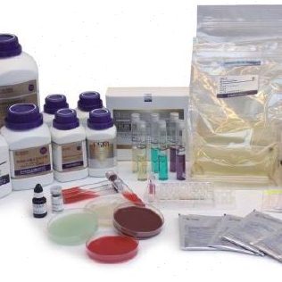 H沙门E平板选择 琼P 38陆桥 的用于0B培养分离性脂氏菌