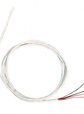 OMEGA pt100 HSRTD-3-100-B-240-E_HSRTD-3-100-B-300-E热电阻