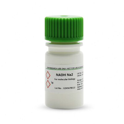 BioFroxx 1320GR001 还原型辅酶I NADH Na2 1g