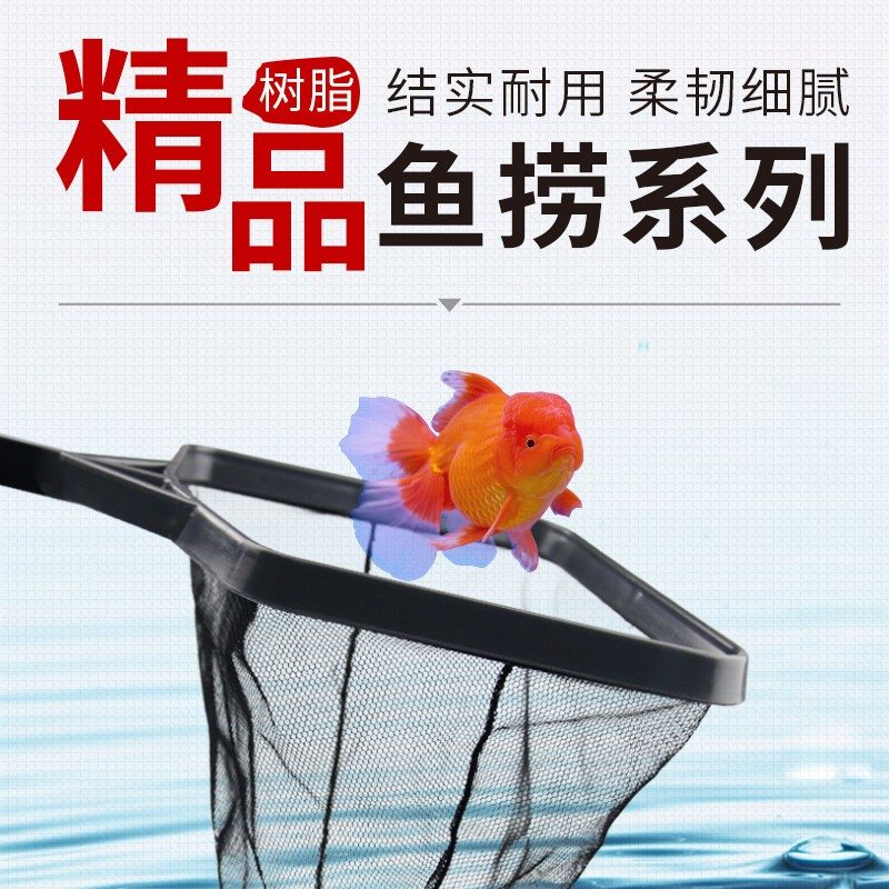 BESSN鱼缸捞鱼网大号细眼超密渔捞小号小鱼网鱼捞家用金鱼观赏鱼