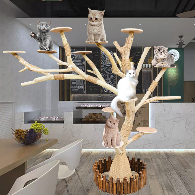 实木猫爬架耐磨 原木枯树干 大型猫窝网红猫爬树一体多层宠物跳台