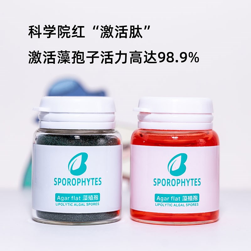 长绒藻种绿藻种绿地毯水池水族箱绿苔藻绿毛藻绿绒淡水短绒藻水