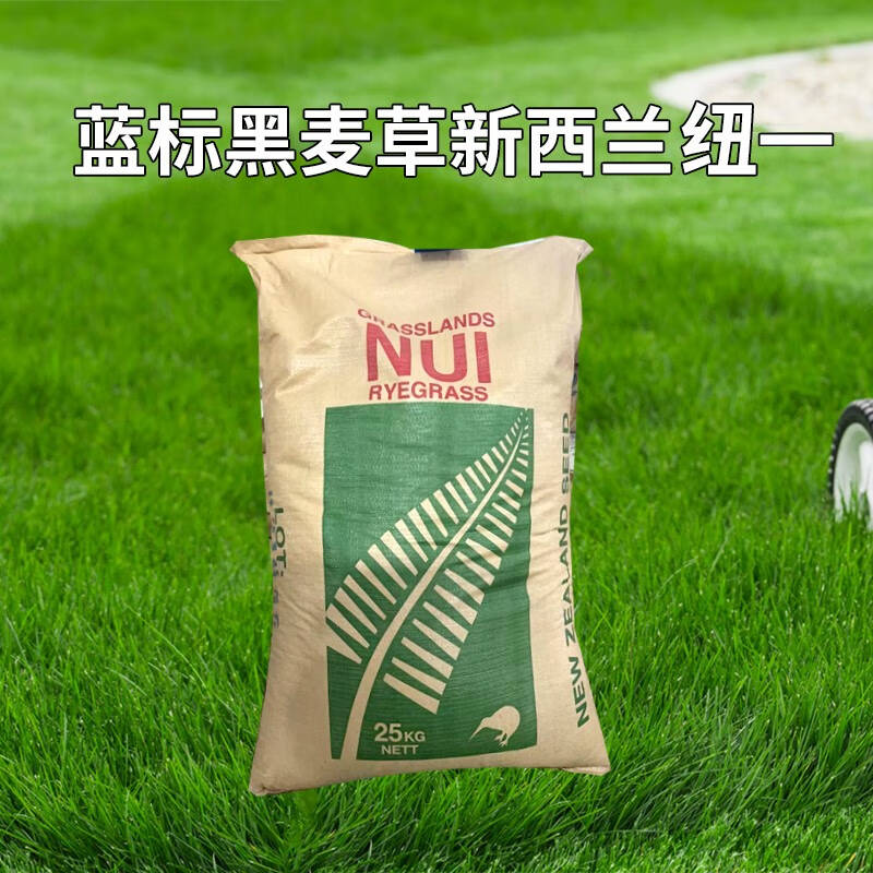 蓝标纽一新西兰进口黑麦草种子