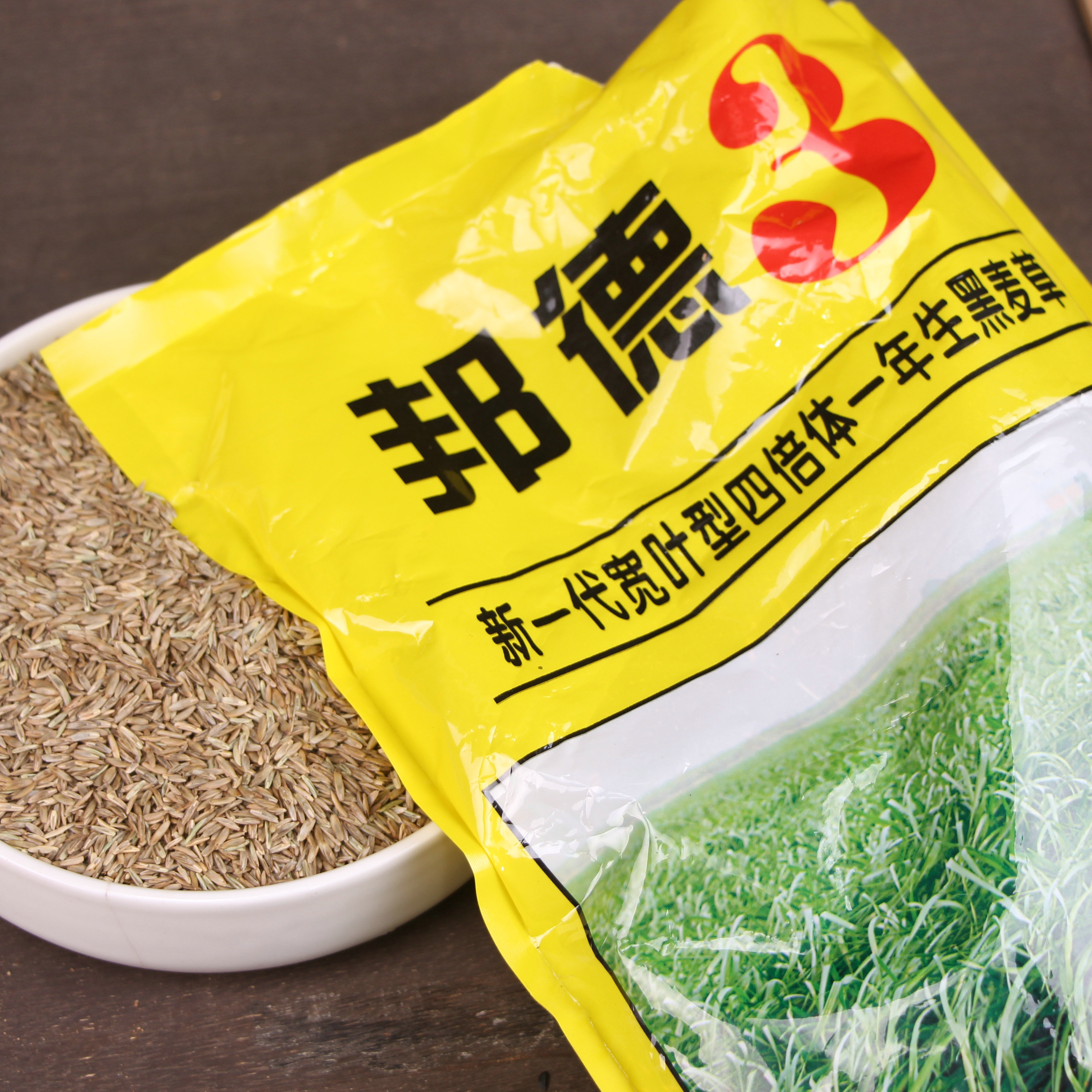 进口邦德3四倍体黑麦草种子