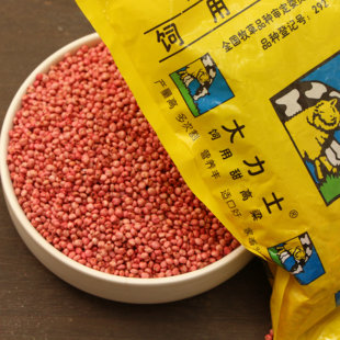 高产大力士甜高粱种子多次收割营养丰富耐热耐旱饲用牧草种籽