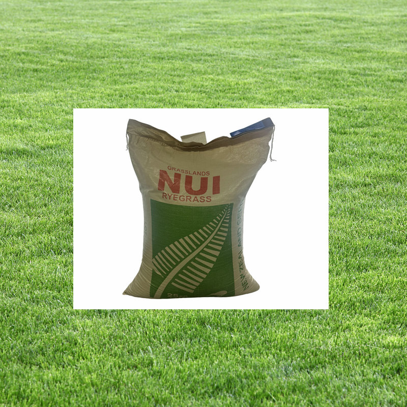蓝标纽一新西兰多年生黑麦草种子草坪种子 原装进口25KG装