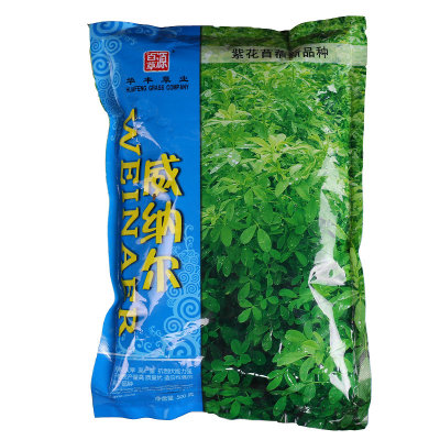 威纳尔紫花苜蓿种子牧草种子