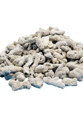 鱼池大块珊瑚骨滤材鱼缸纯天然过滤材料珊瑚O石珊瑚砂海鲜缸沙网