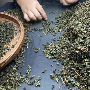 原产地新茶茶梗20斤 铁观音茶枝 清香除味 大容量加厚袋装包邮
