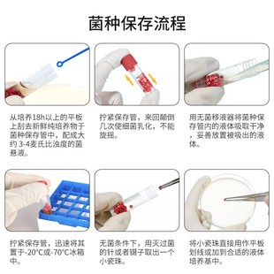 青岛海博瓷珠菌种保存管液体菌种保存管磁珠冻存管菌株冷冻管盒装
