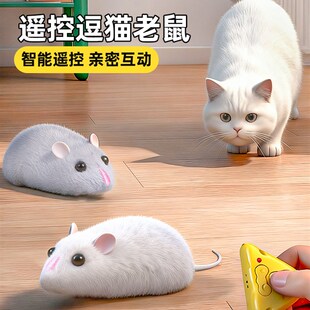 2025年新款网红电动遥控小老鼠3到6岁5儿童M4彷真会动的老鼠车玩