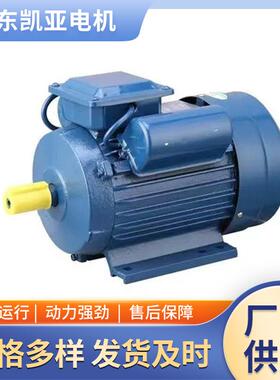 单项大功率电机220vYL0.25/0.37/0.55/0.75/-7.5w全新国标电机