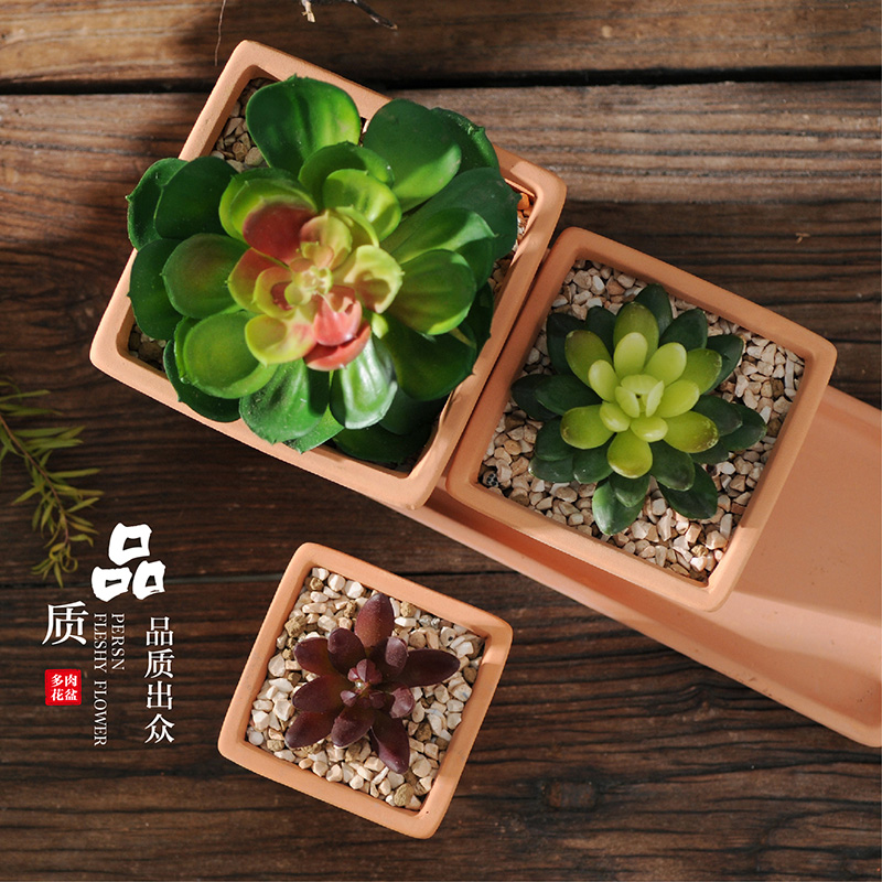 四方红陶花盆方盆多肉植物花盆细质陶盆方形红陶盆种肉盆陶瓷花盆