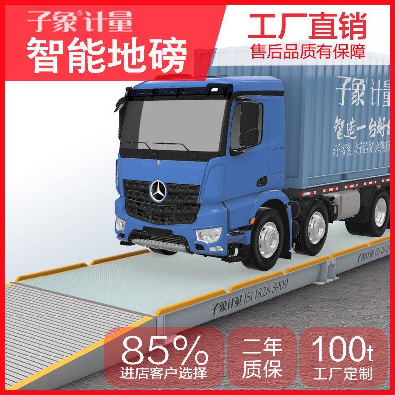 电子地磅100吨工厂物流园码头港口用汽车衡广西海南福建江浙直发