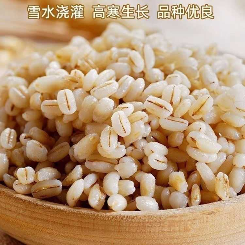 新白青稞米5斤 农家自种青海粮食去皮蓝青稞米青稞麦仁香米半斤