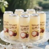 山竹汁官方旗舰店NFC进口纯山竹汁配料干净0防腐新日期好喝电解质