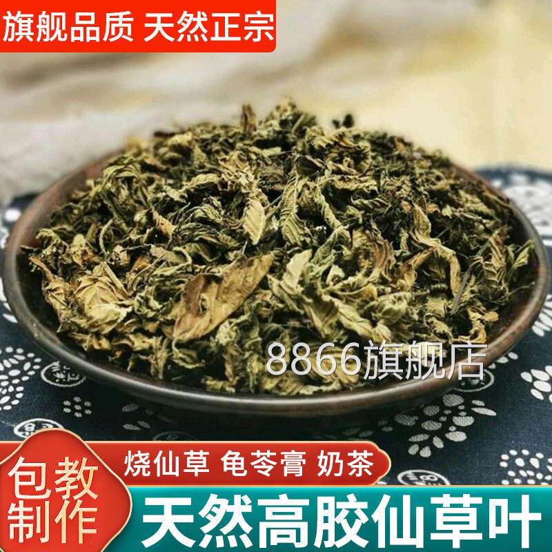 仙草干草潮汕草粿粉正宗仙人粄粉冻龟苓膏原材料烧仙草新鲜多叶子