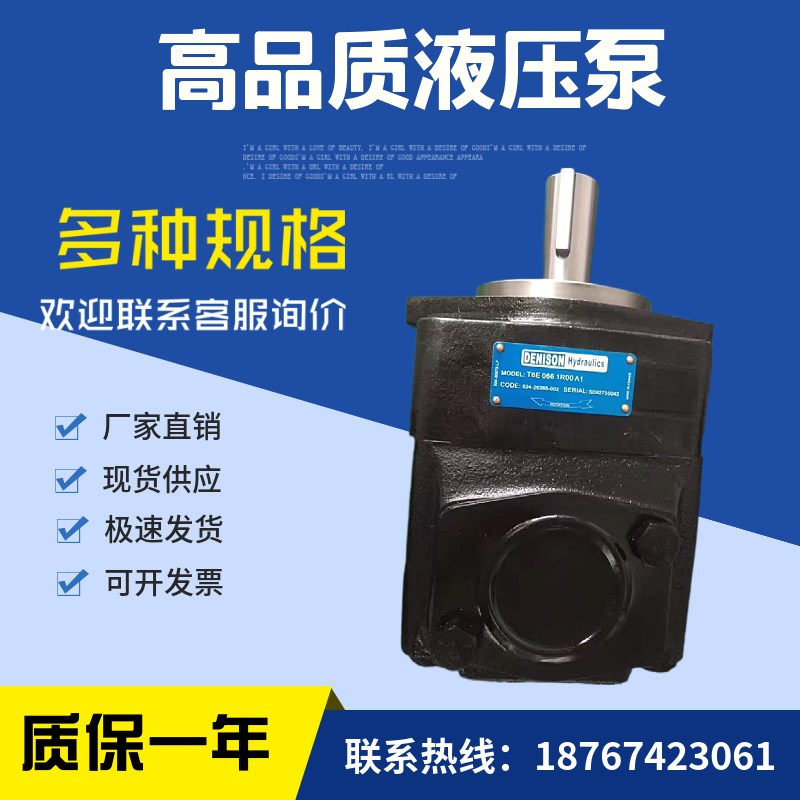 DENISON丹尼逊 T6D-020-1R00/1R01/1R02/1R03-B1 高压叶片泵