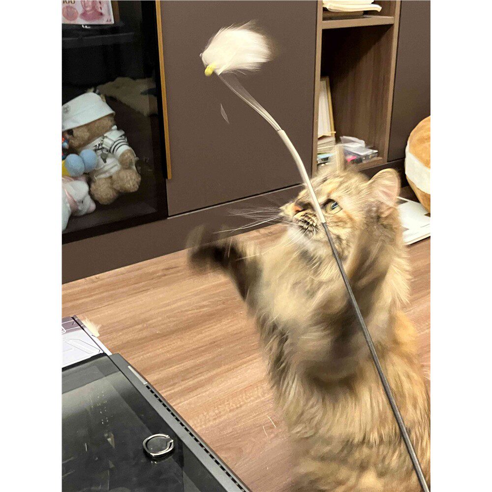 猫猫毛毛丨动物毛真毛兔毛负鼠狍子海狸鹿毛猫咪丰容礼包