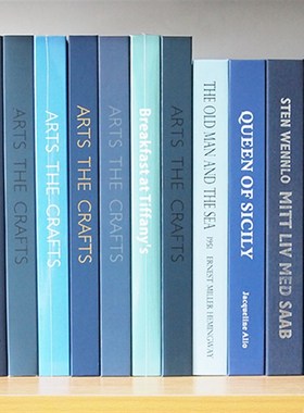 蓝色简约仿真书 样板房陈列装饰书 样板间装饰T品摆件 拍摄道具