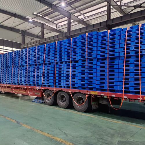 网格双面塑料托盘叉车卡板物流仓储货架垫仓板加厚栈板仓库防潮板