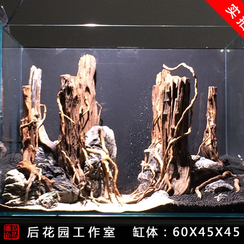 草缸造景 造景套餐 造景 青龙石 沉木 后花园水族 雨林景定制