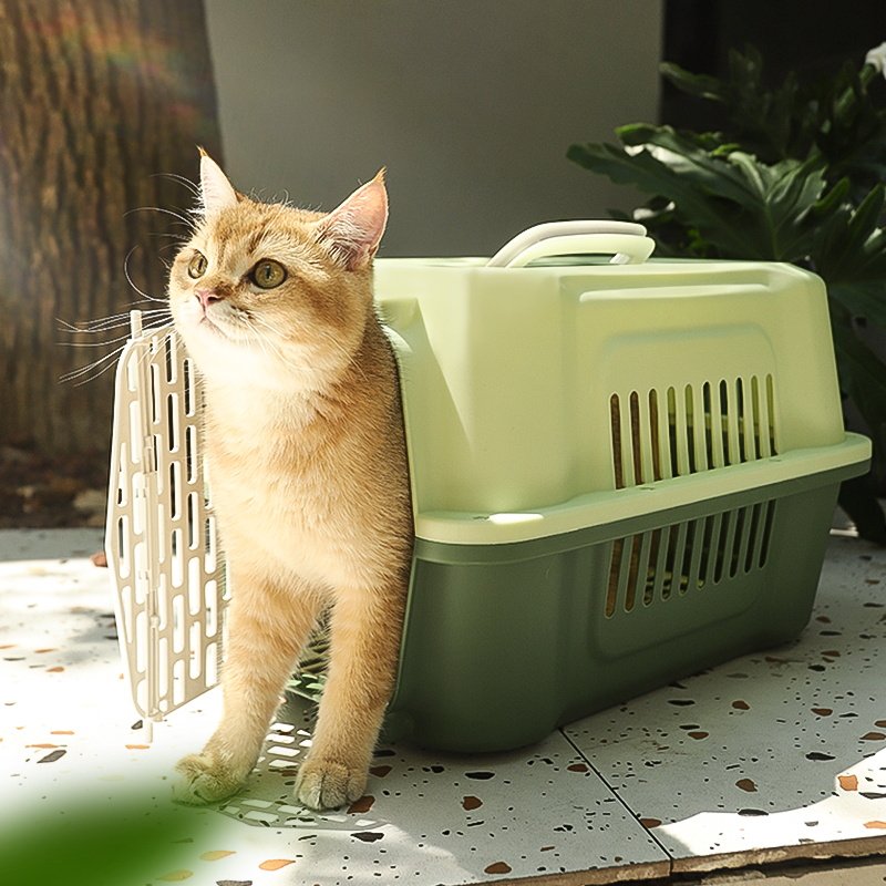 猫咪航空箱外出便携猫笼子猫包宠物太空箱狗狗空运U小型犬车载狗
